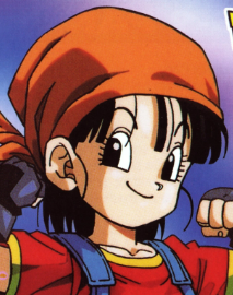 Pan